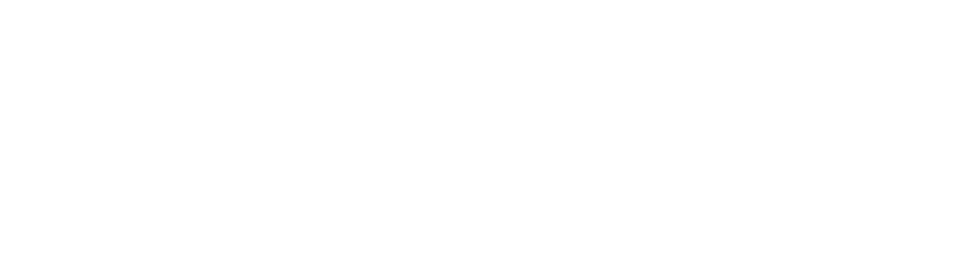 Elev8 Resilience